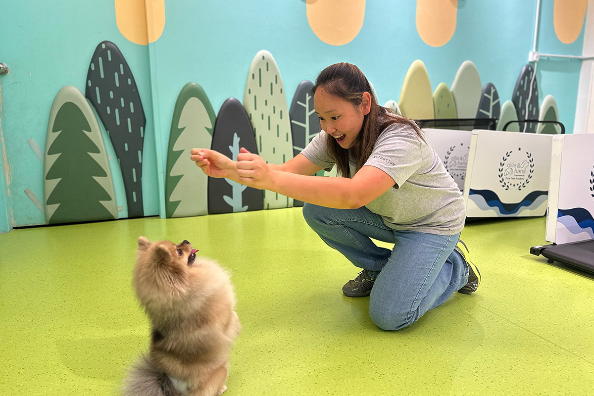 Dog Training Class 2