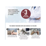 [Kojima] Bundle toothbrush & toothpaste