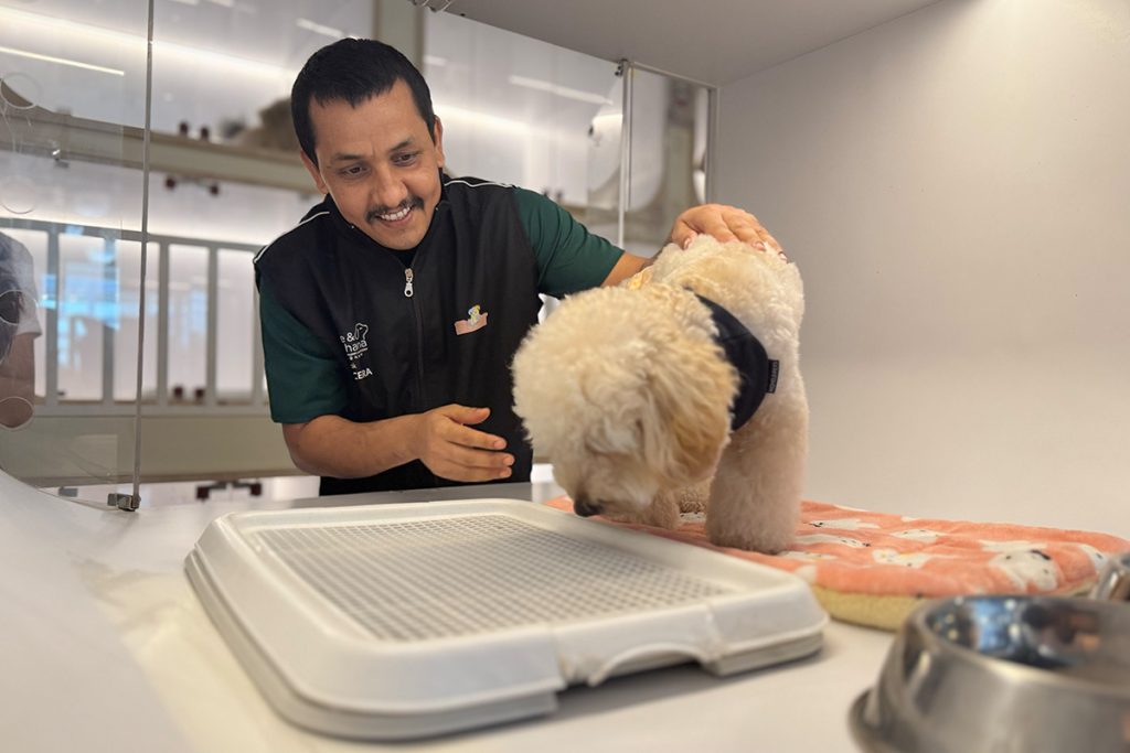 How To Choose The Right Pet Boarding Location