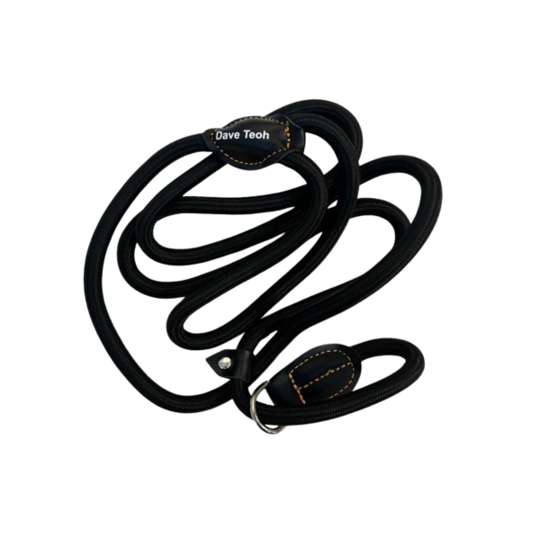 Dave Teoh P Leash