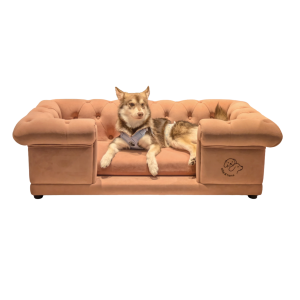 Patomi Puppimori Kojima (2)