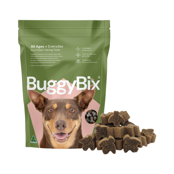 Buggy Bix Everyday Training Treats 70g