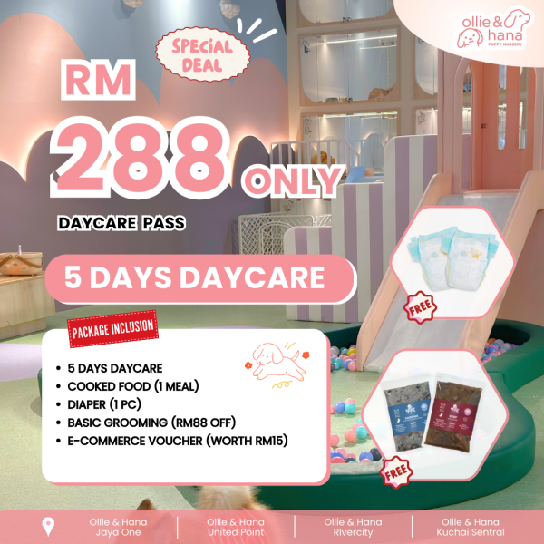 Renew members package 7